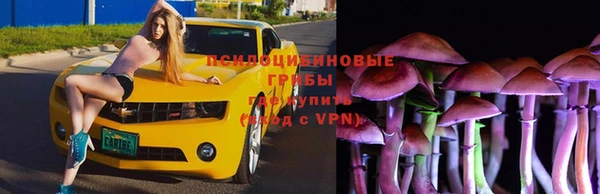 jwh Армянск