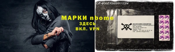 твердый Арсеньев