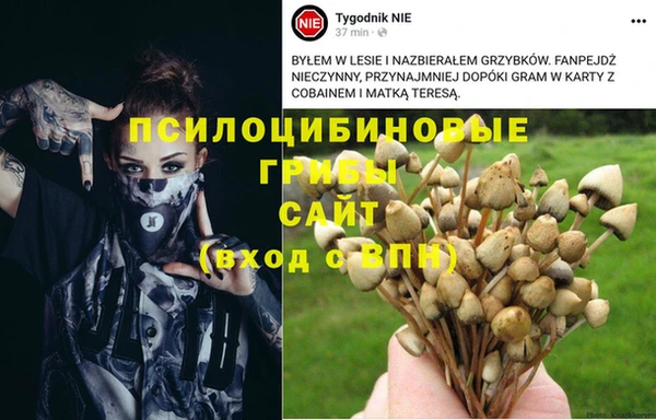 кокаин перу Аркадак