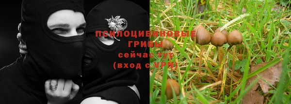 кокаин перу Аркадак