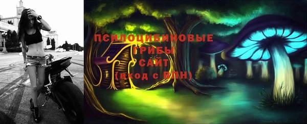СК Надым