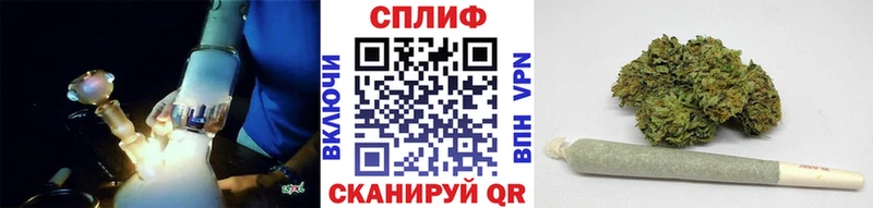 Каннабис OG Kush  Полярные Зори 